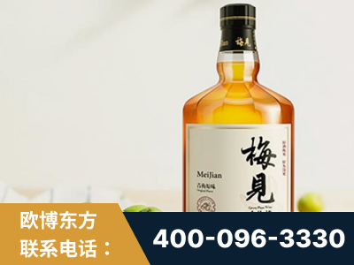 华亭-梅见青梅酒